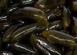 Aubergine